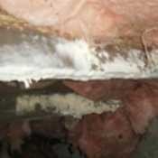 Mold Remediation | Dangerous Mold & Fungus | Virginia | Kefficient Mold Remediation | Dangerous Mold & Fungus | Virginia | Kefficient
