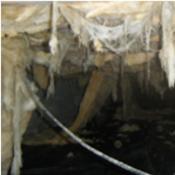 Crawl Space Repair | Fallen Damp Dirty Insulation | Virginia | Kefficient Crawl Space Repair | Fallen Damp Dirty Insulation | Virginia | Kefficient