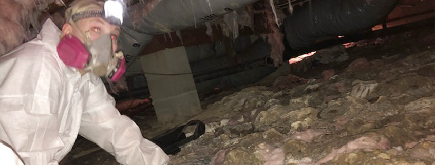 Crawl Space Repair | Dirty Crawl Space | Virginia | Kefficient