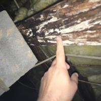 Mold Remediation | Mold Growth on Wood | Virginia | Kefficient