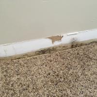 Basement Waterproofing | Damp Walls With Mold | Virginia | Kefficient