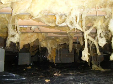 Crawl Space Repair | Mold | Virginia | Kefficient