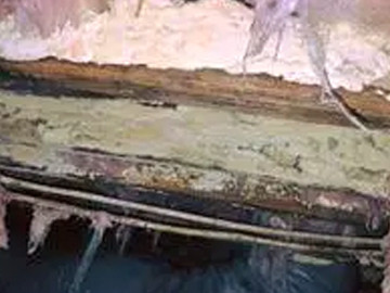 Crawl Space Repair | Mold | Virginia | Kefficient