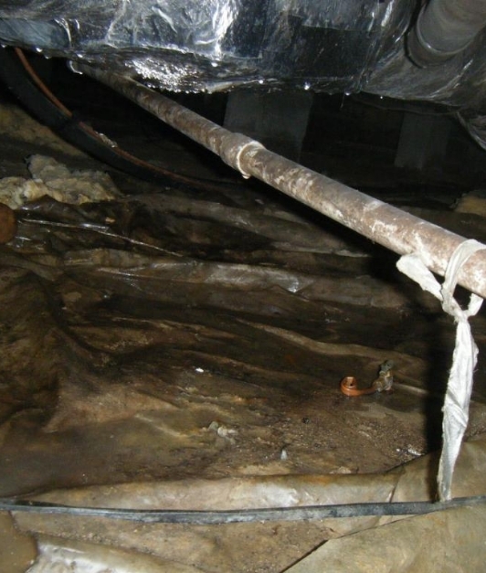Moldy Crawl Space | Mold In Crawl Space Richmond | Kefficient