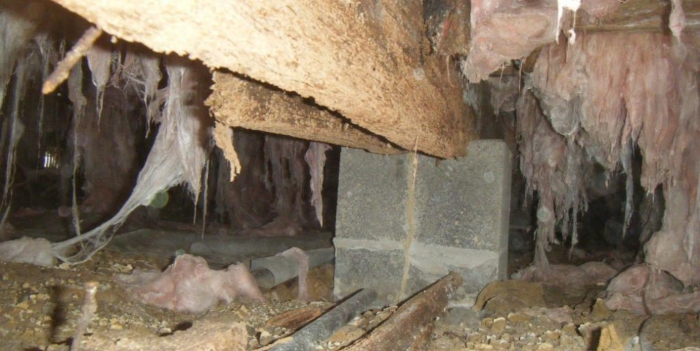 Wood Rot | Crawl Space Repair & Encapsulation Richmond | Kefficient