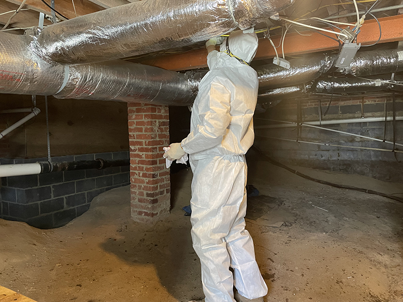 Mold Inspection Richmond | Kefficient | Virginia