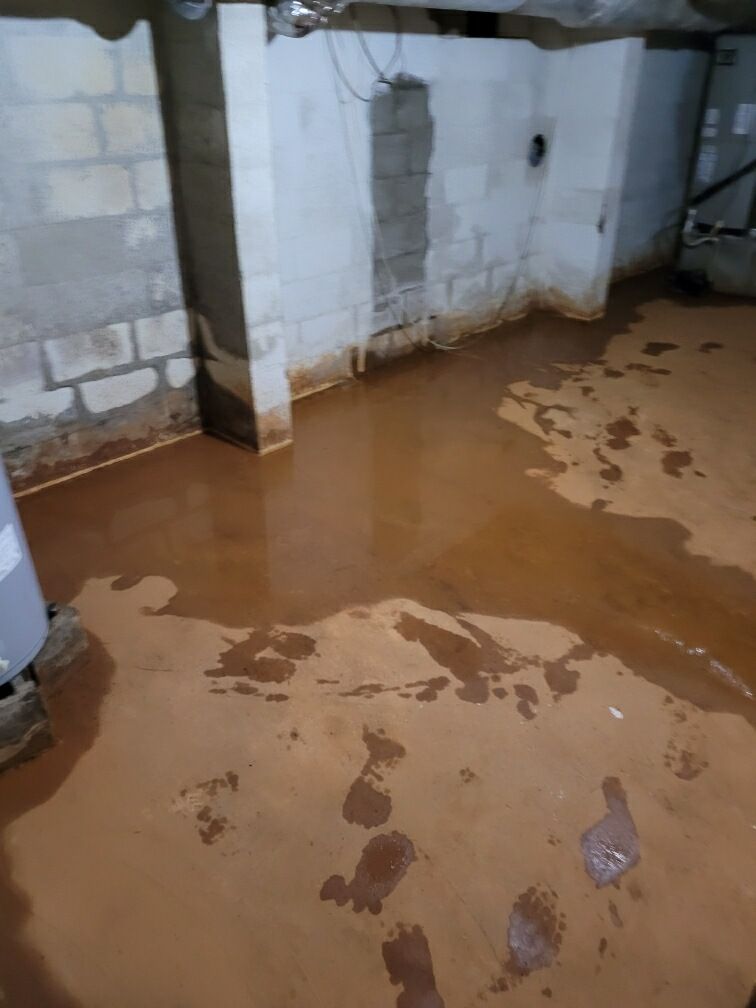 Wet Basement in Richmond | Basement Dehumidifier