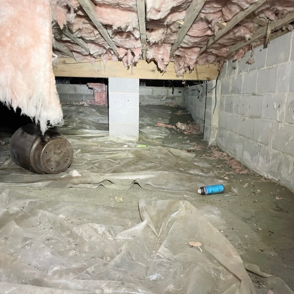 Dirty Moldy Crawl Space | Crawl Space Insulation Richmond VA | Kefficient