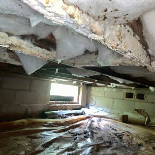 Moldy Crawl Space | Mold Remediation Richmond VA | Kefficient