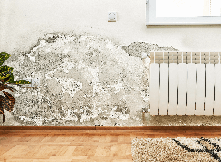 air-vent-370413493 mold removal banner