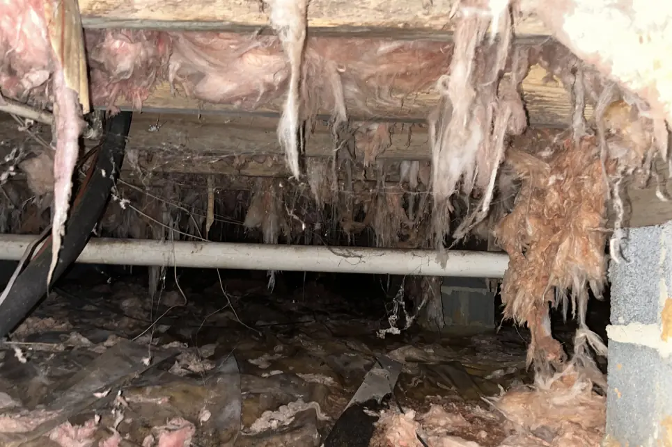 common-home-issues-caused-by-crawl-space-problem