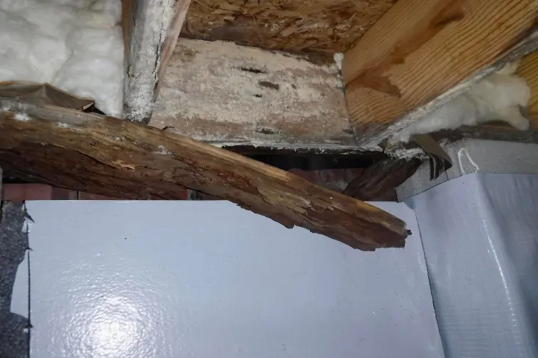 structural-weakening Foundation Repair Services